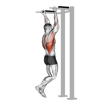 Animation : traction en pronation